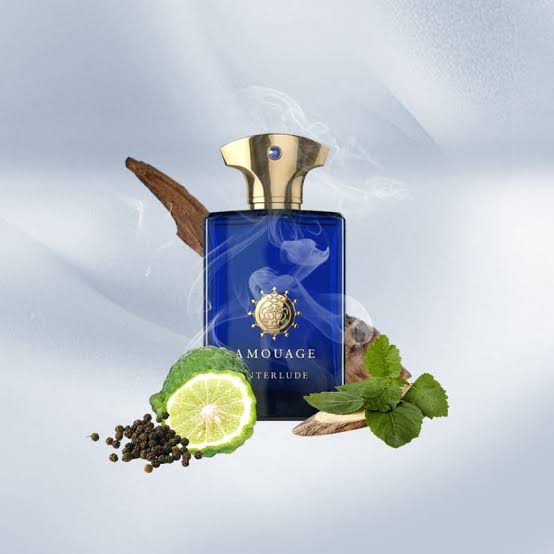 Amouage İnterlude EDP 100 ML Erkek Parfüm - Görsel 2