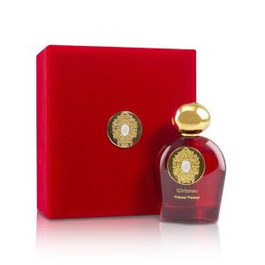 Tiziana Terenzi Comet Wirtanen 100 ML Unisex Parfüm