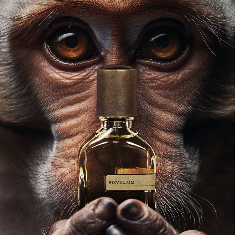 Orto Parisi Risvelium EDP 50 ML Unisex Parfüm - Görsel 2